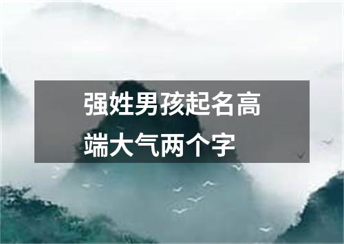 强姓男孩起名高端大气两个字