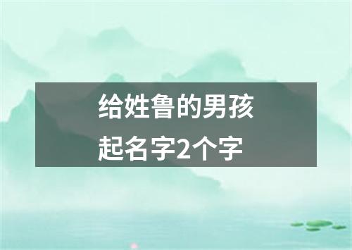 给姓鲁的男孩起名字2个字