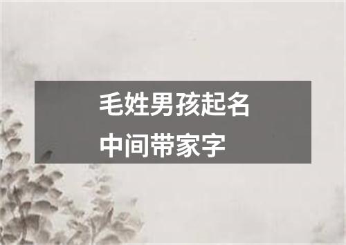 毛姓男孩起名中间带家字