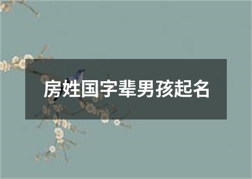 房姓国字辈男孩起名