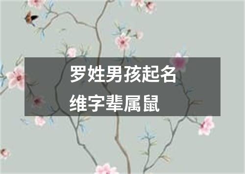 罗姓男孩起名维字辈属鼠