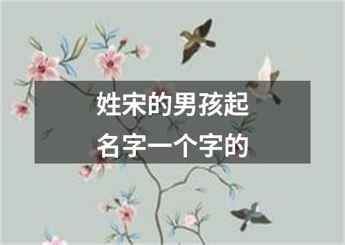 姓宋的男孩起名字一个字的