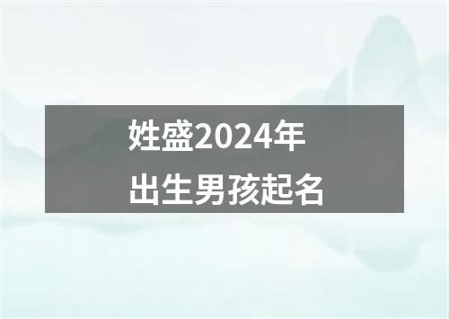 姓盛2024年出生男孩起名