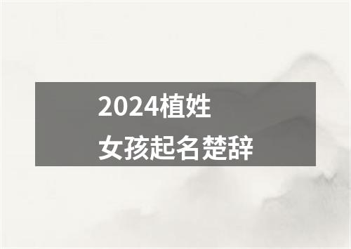 2024植姓女孩起名楚辞