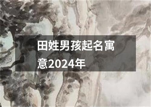 田姓男孩起名寓意2024年