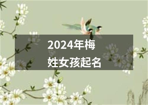 2024年梅姓女孩起名