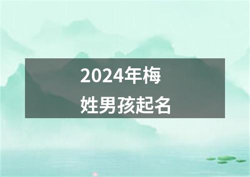 2024年梅姓男孩起名