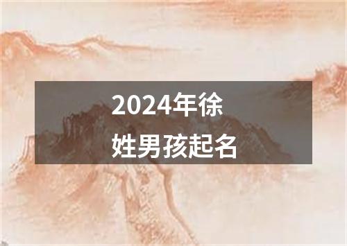 2024年徐姓男孩起名