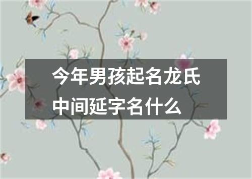 今年男孩起名龙氏中间延字名什么