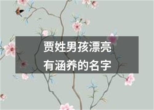 贾姓男孩漂亮有涵养的名字