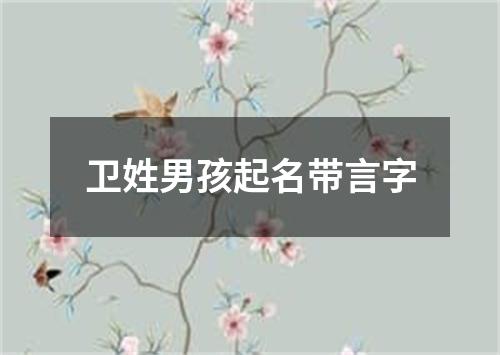 卫姓男孩起名带言字