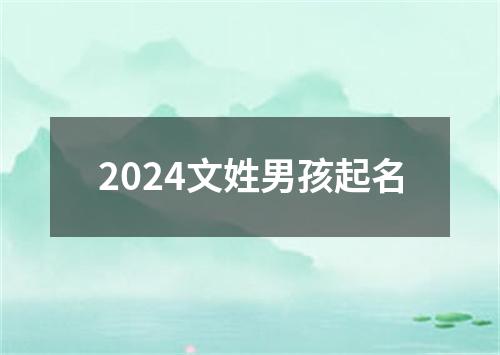 2024文姓男孩起名