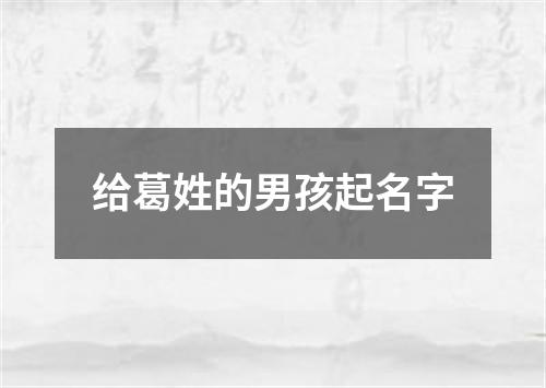 给葛姓的男孩起名字