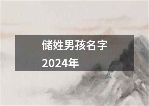 储姓男孩名字2024年