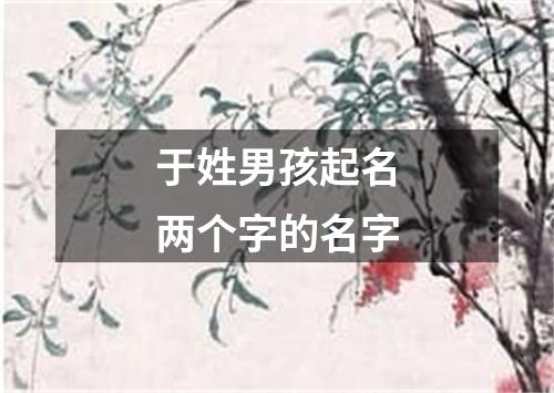 于姓男孩起名两个字的名字