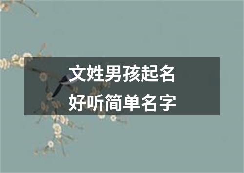 文姓男孩起名好听简单名字