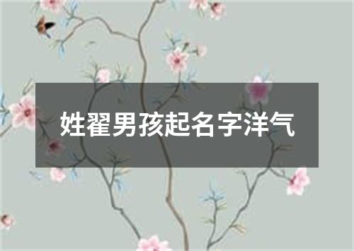 姓翟男孩起名字洋气