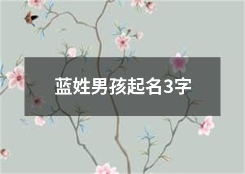 蓝姓男孩起名3字