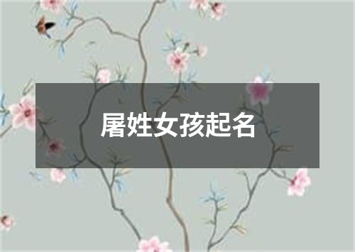 屠姓女孩起名