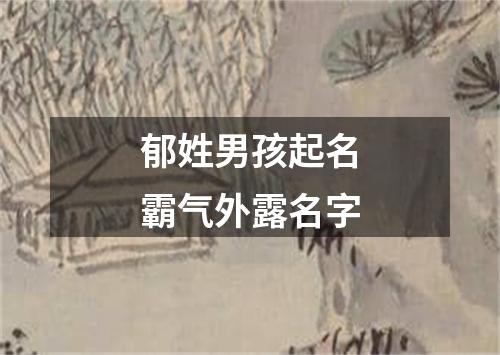 郁姓男孩起名霸气外露名字