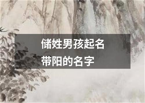 储姓男孩起名带阳的名字