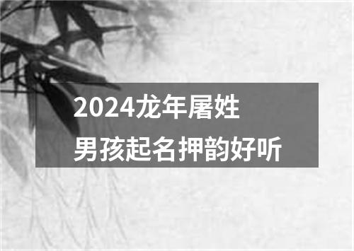 2024龙年屠姓男孩起名押韵好听