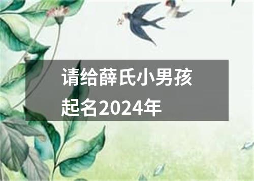 请给薛氏小男孩起名2024年