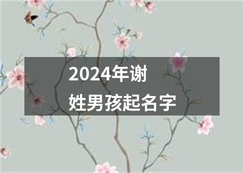 2024年谢姓男孩起名字