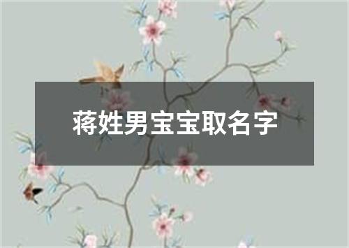 蒋姓男宝宝取名字