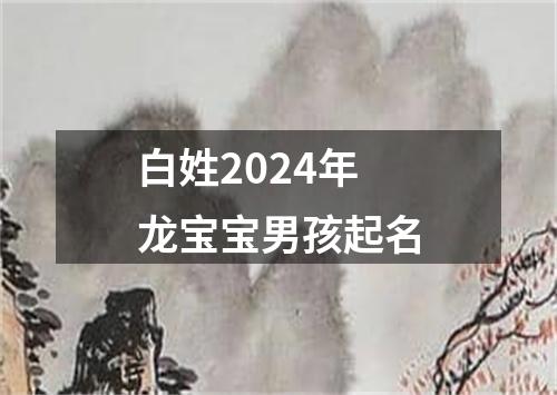 白姓2024年龙宝宝男孩起名