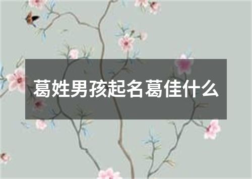 葛姓男孩起名葛佳什么