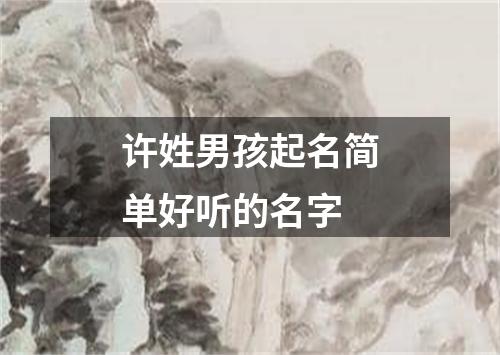 许姓男孩起名简单好听的名字