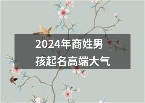 2024年商姓男孩起名高端大气