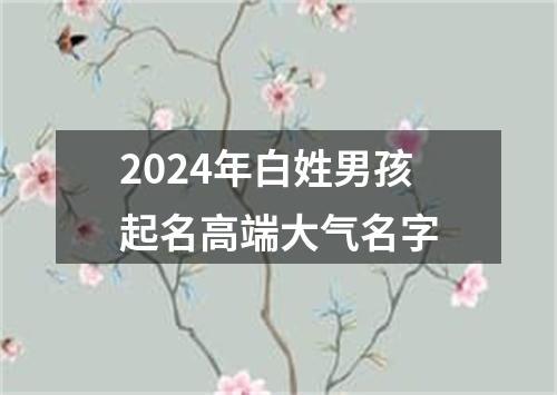 2024年白姓男孩起名高端大气名字