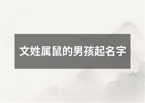 文姓属鼠的男孩起名字