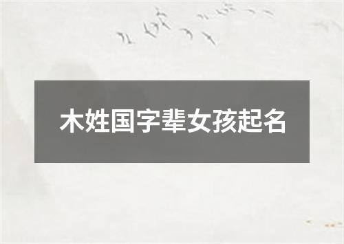 木姓国字辈女孩起名