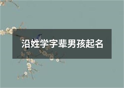 沿姓学字辈男孩起名