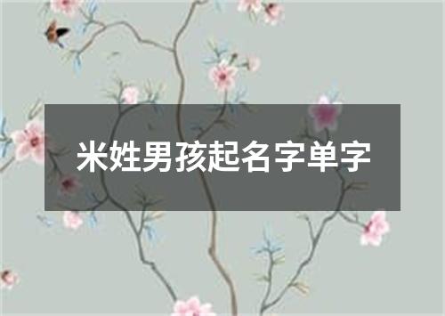 米姓男孩起名字单字