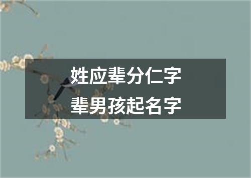 姓应辈分仁字辈男孩起名字