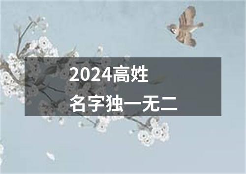 2024高姓名字独一无二