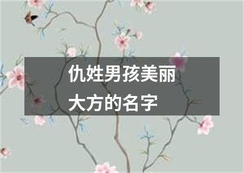 仇姓男孩美丽大方的名字