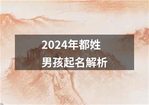 2024年都姓男孩起名解析