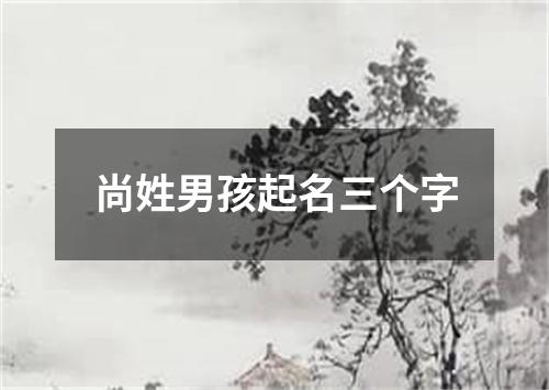 尚姓男孩起名三个字