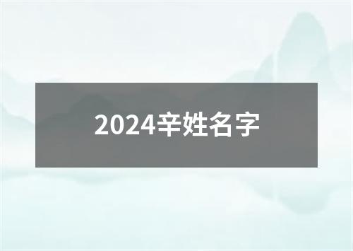 2024辛姓名字