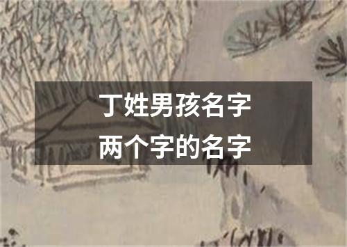 丁姓男孩名字两个字的名字