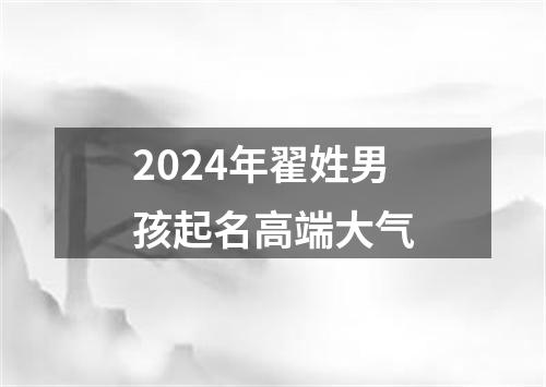 2024年翟姓男孩起名高端大气