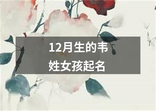 12月生的韦姓女孩起名