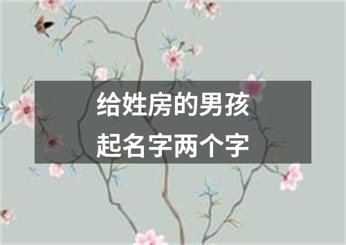 给姓房的男孩起名字两个字