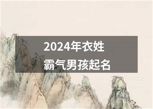 2024年衣姓霸气男孩起名