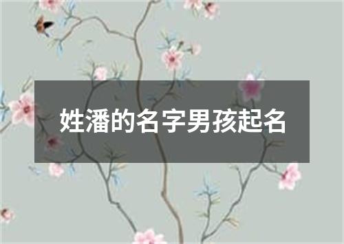 姓潘的名字男孩起名